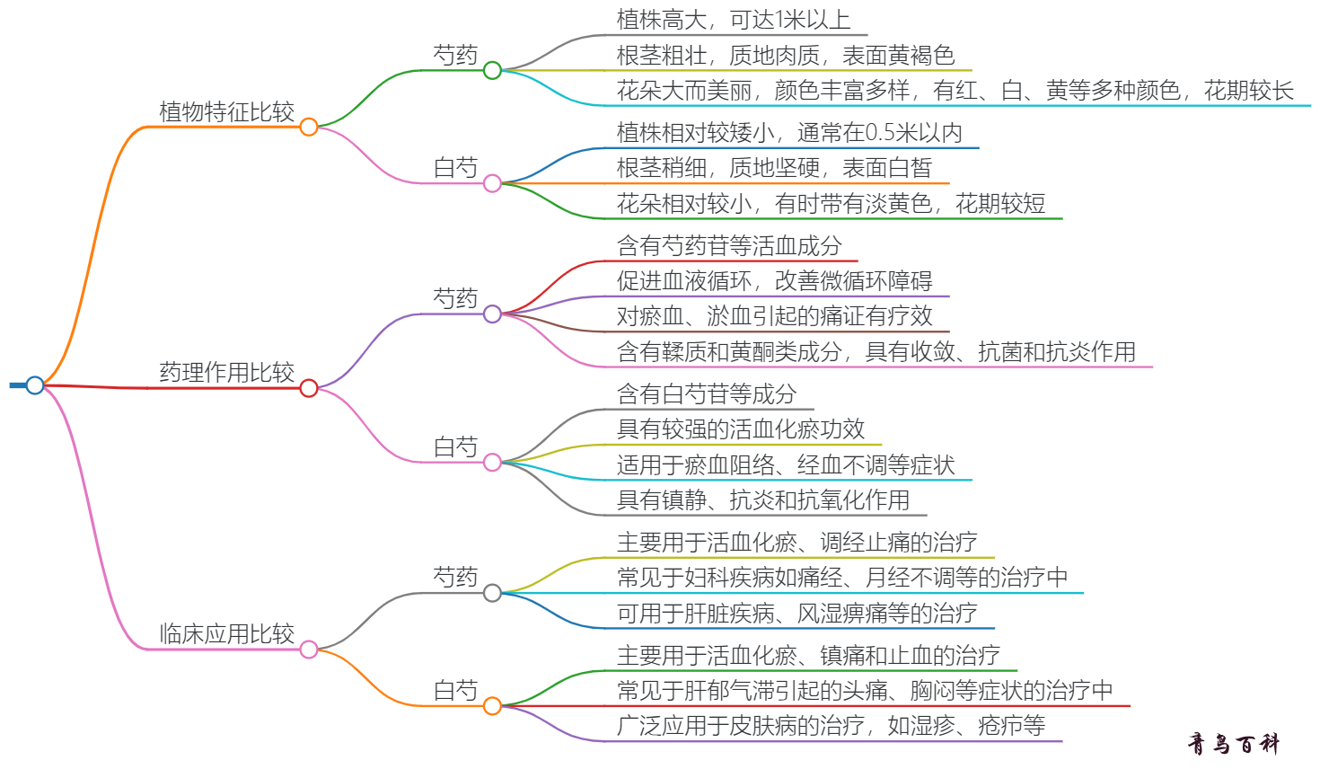 芍药和白芍的区别(芍药和白芍的区别是什么)